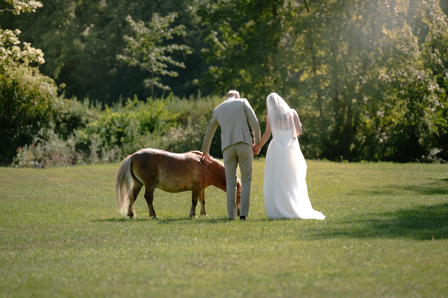 horse and animal celebrate wedding on grass